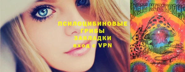 мдпв Михайлов